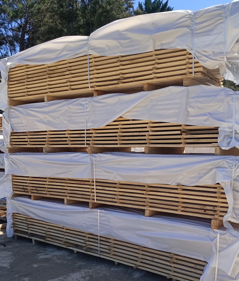 Timber stacked for drying
